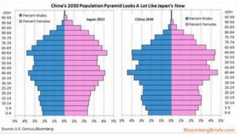海南省人口出生率_印度人口出生率