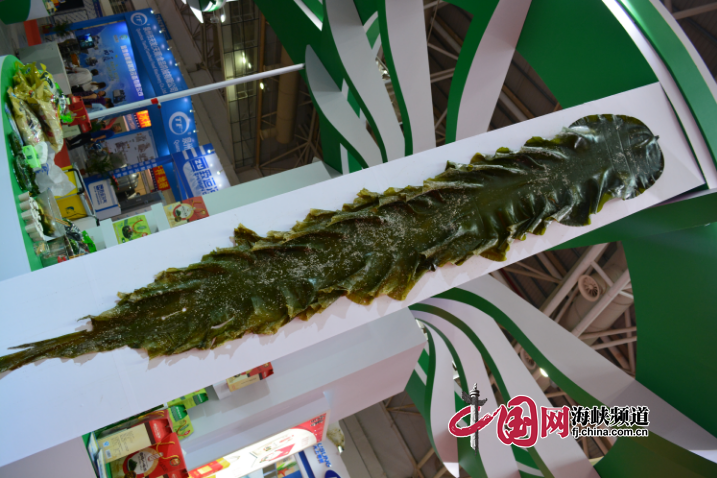 产量好的浮水植物_人均水产品产量(3)