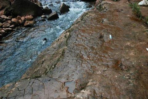 贵州河滩现怪脚印  “脚印”是一亿年前恐龙足迹化石 