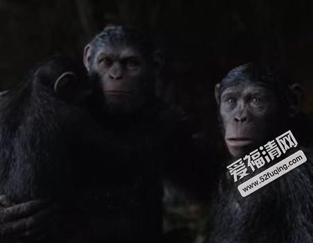 猩球崛起3剧情介绍 隐藏完整彩蛋分析揭秘 票