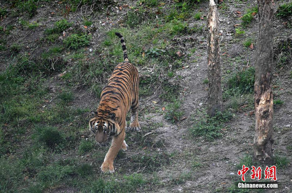 1523668870.jpg 3.jpg