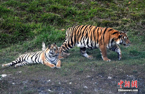 1523668876.jpg 4.jpg