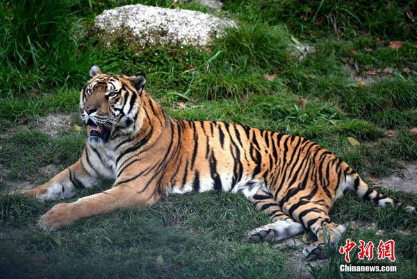 1523668881.jpg 5.jpg