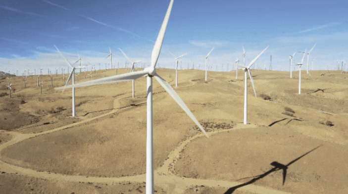 1765351165.png image.png