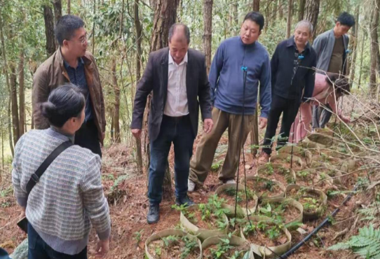 1772417280.png xx1.png